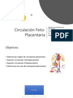 Circulación Feto-Placentaria