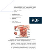 Trauma Abdominal