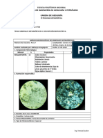 PRÁCTICA DE LABORATORIO N°03 - PETROLOGÍA METAMÓRFICA Kathe Arequipa