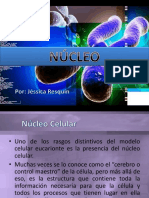 3.2 Núcleo