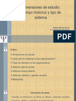 Dimensiones de estudio.pptx