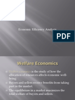 Economic Efficiency Analysis