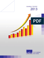 Annual Report 2013