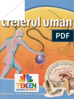 Creierul - Uman Ed - Litera.mica TEKKEN