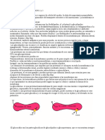 Biologia celular e Histología - Esther Fdez.pdf