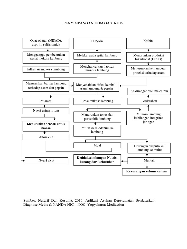 Penyimpangan KDM Oma | PDF