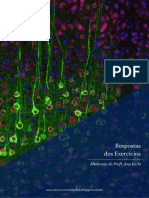 Respostas dos exercícios de monitoria de Neurofisiologia