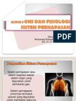 Anatomi Dan Fisiologi Sistem Pernapasan: Disusun Oleh: Muhamad Ridwan Alansyah (P2.31.33.0.14.027)