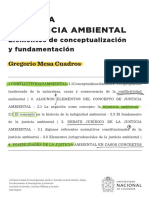 Una Idea de Justicia Ambiental. Elementos de Conceptualización y Fundamentación.