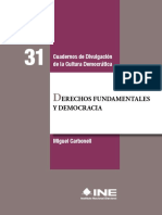 Derechos Fundamentales y Democracia. Carbonell