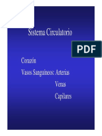 02 - Generalidades de Los Vasos Sanguineos.pdf