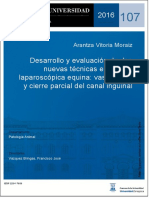 Desarrollo y Evaluación de Dos Nuevas Técnicas en Cirugía Laparoscópica Equina