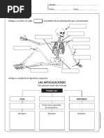 Articulaciones 4 Basico PDF