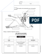 Articulaciones 4 Basico PDF
