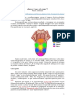 El mito del mapa de la lengua y la verdadera distribución de los receptores del gusto