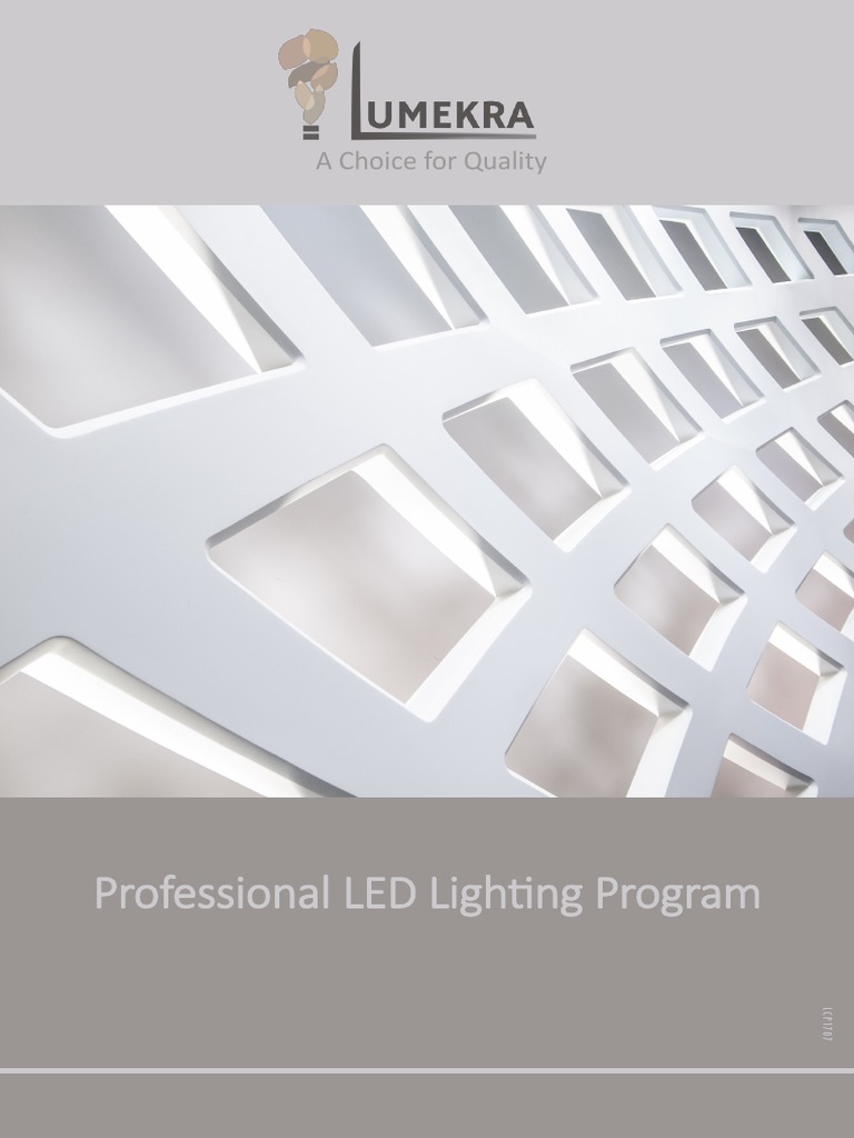 Professional LED Lighting Solutions | PDF | Light Emitting Diode ...