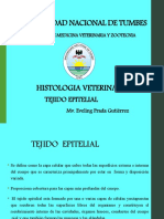 PPT.T-EPITELIAL 02.pdf