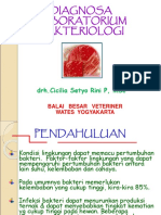 DIAGNOSA BAKTERIOLOGI (Pengambilan Sampel)