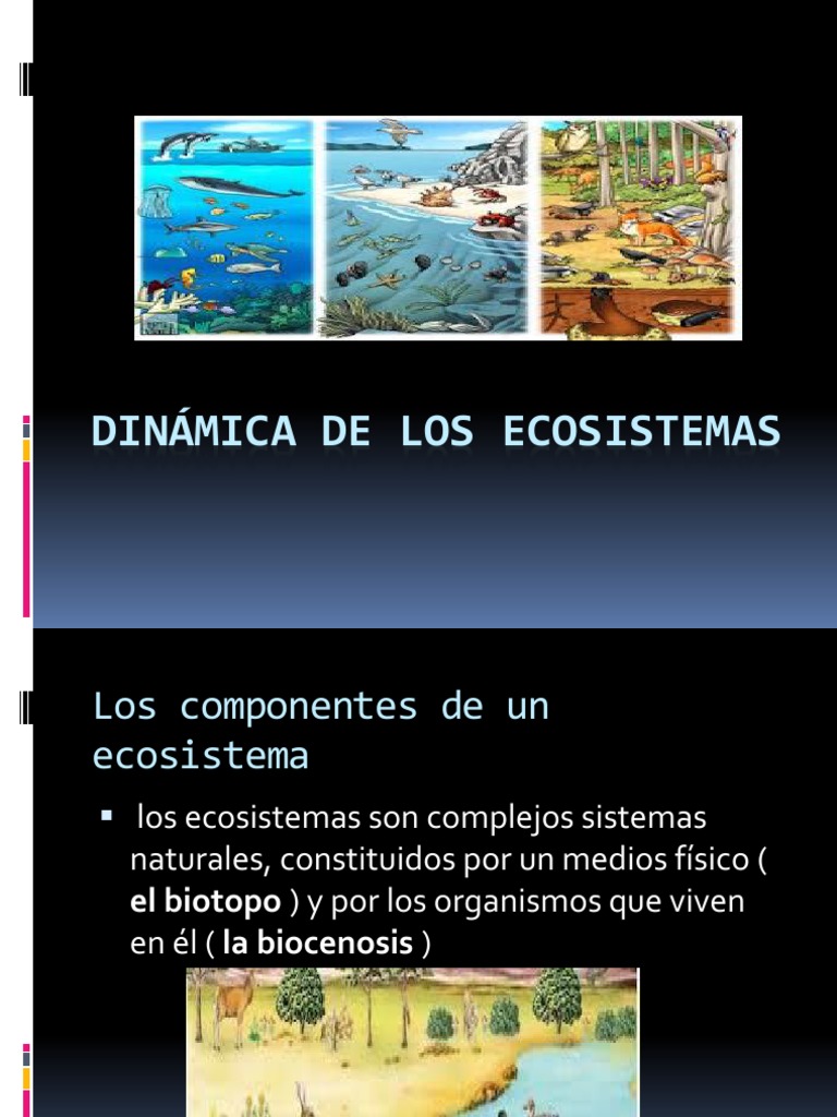 Dinámica y Estructura de Ecosistemas | PDF | Red alimentaria | Ecosistema