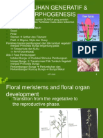 Bab 8-Pertumbuhan Generatif Dan Photomorphogenesis