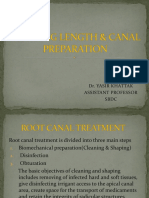 WORKING LENGTH & CANAL PREPARATION 1.pptx
