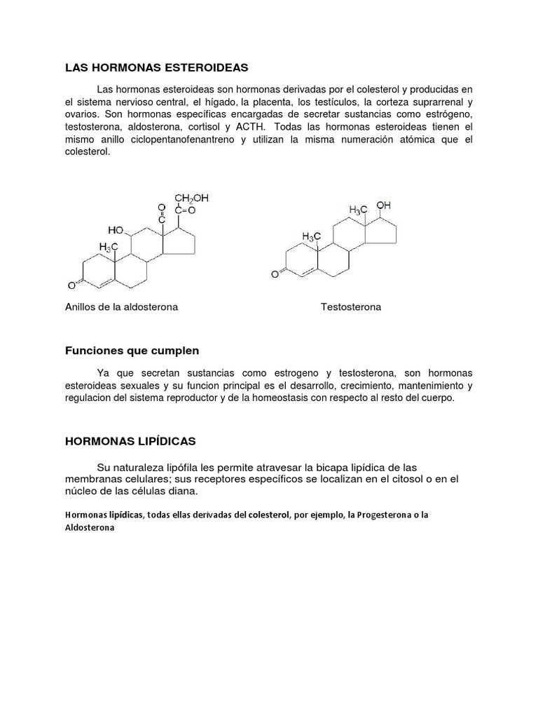 Las Hormonas Esteroideas PDF Hormona esteroide Hormona