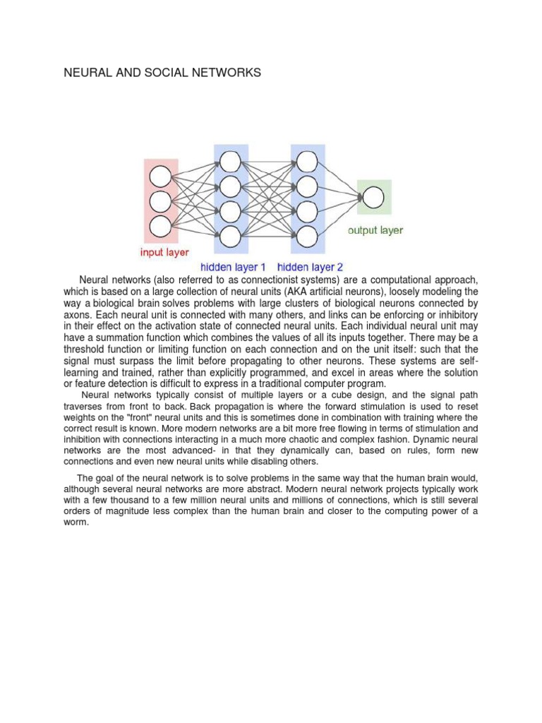 Neural and Social Networks | Social Network | Nervous System