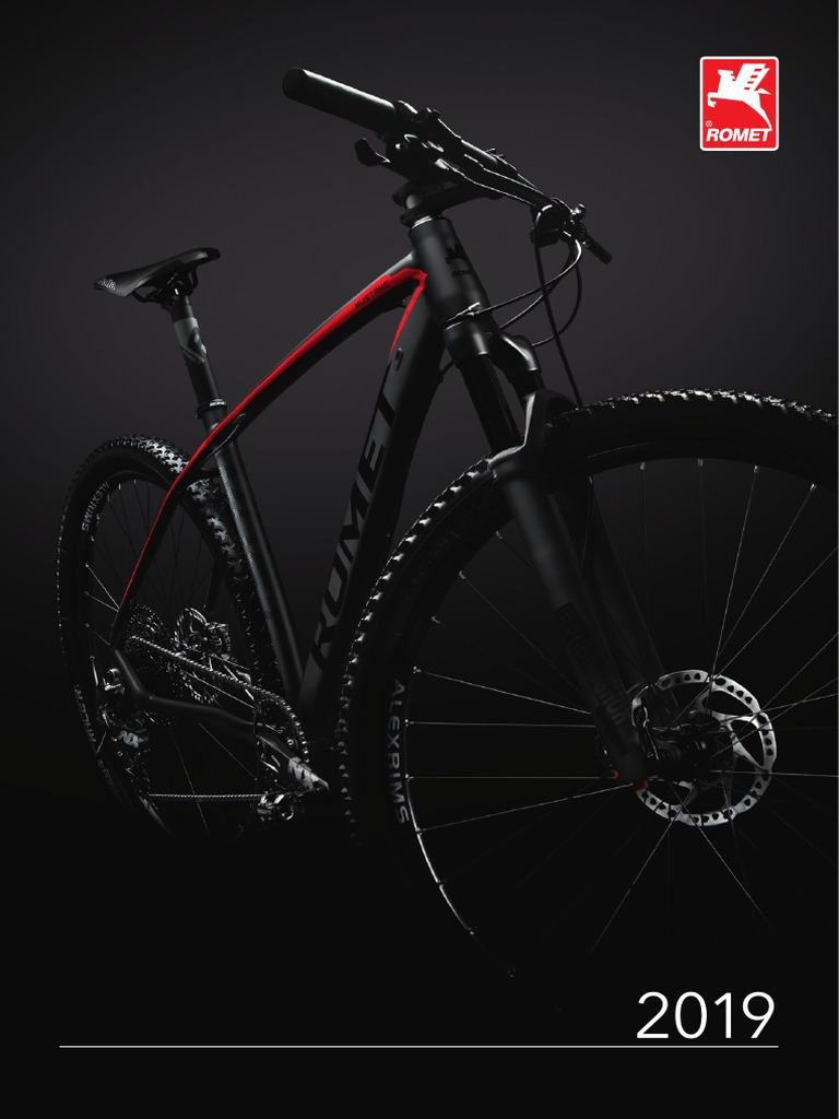 rigid mountain bike 2019