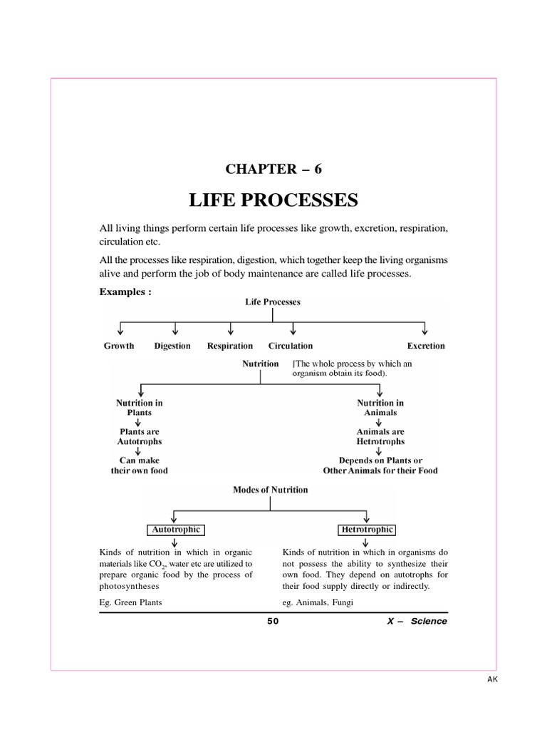 Life Processes Flow Chart for Class 10 | PDF | Respiratory System | Lung