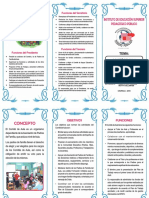 Triptico Comite de Aula