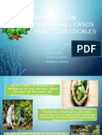 Remediacion Mabinetal Casos Locales