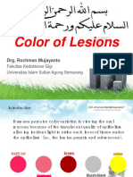 Color of Lesions: Drg. Rochman Mujayanto