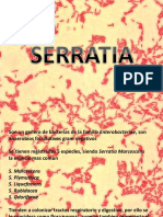 Serratia y Citrobacter