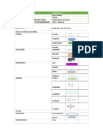 02 - Manual Excel 2016 - (Intermedio - Avanzado)