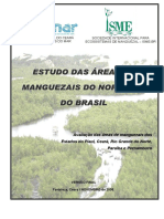 Estudo-das-Areas-de-Manguezais-do-Nordeste-do-Brasil-2005.pdf