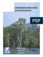 Estudo Das Areas de Manguezais Do Nordeste Do Brasil 2005