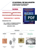 2 Protozoarios 4