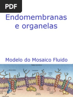 Endomembranas e Organelas