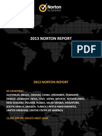  Norton Report 2013