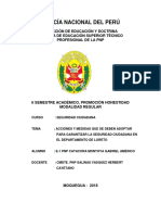 Monografia Seguridad Ciudadana en Loreto - E1 PNP Catacora Montoya Gabriel Americo