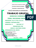 SOCIEDAD ANONIMA ABIERTA.docx