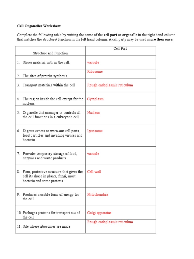 Cell Organelles Worksheet: Vacuole Ribosome | PDF | Eukaryotes 