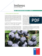 Pauta de Chequeo Arandanos PDF