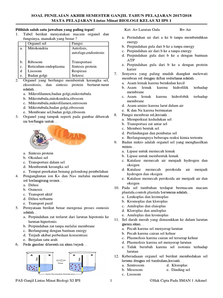 Master Lintas Minat Biologi Xi Ips Docx
