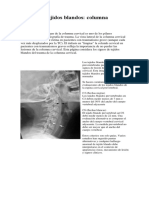 Paper 1 Cervical