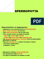 Angiospermophyta