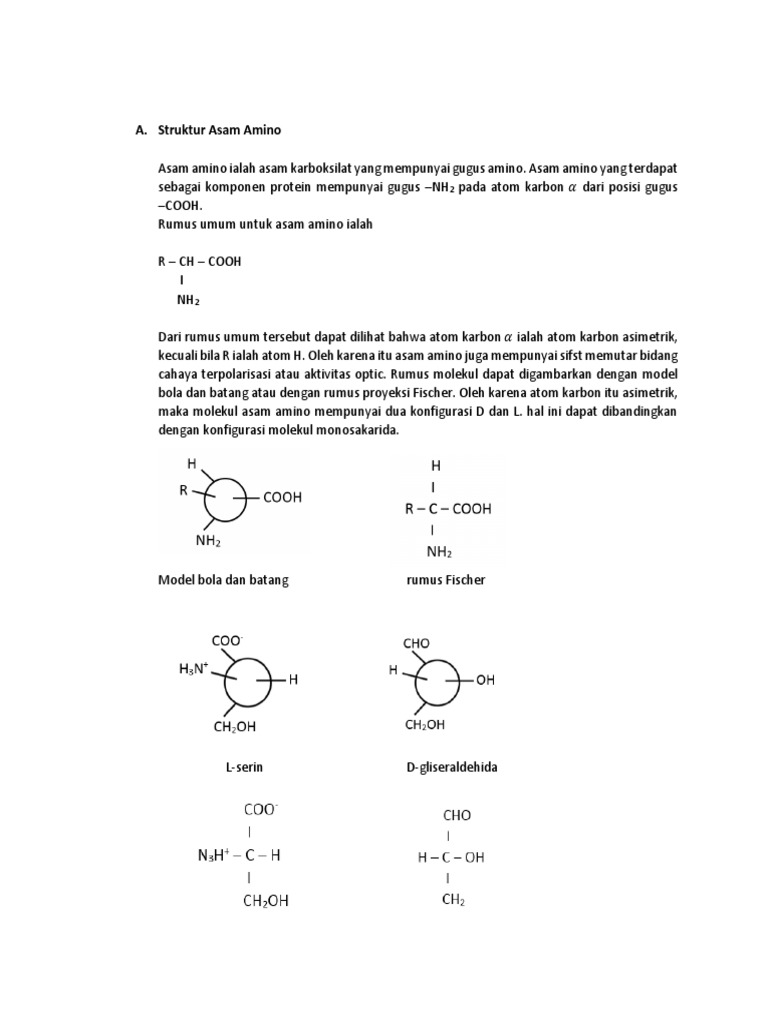 Modul Asam Amino Dan Protein