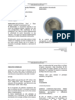 Principios De Geometria Sagrada Contenido Dodecaedro.pdf