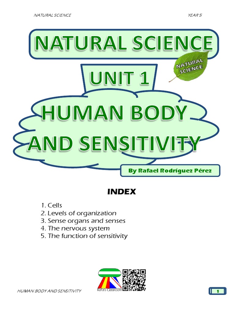 Human Body Sensitivity for Year 5 | PDF | Stimulus (Physiology) | Senses