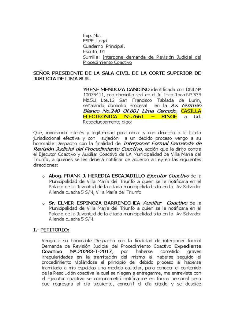 Revisión Judicial PDF Demanda judicial Ley procesal